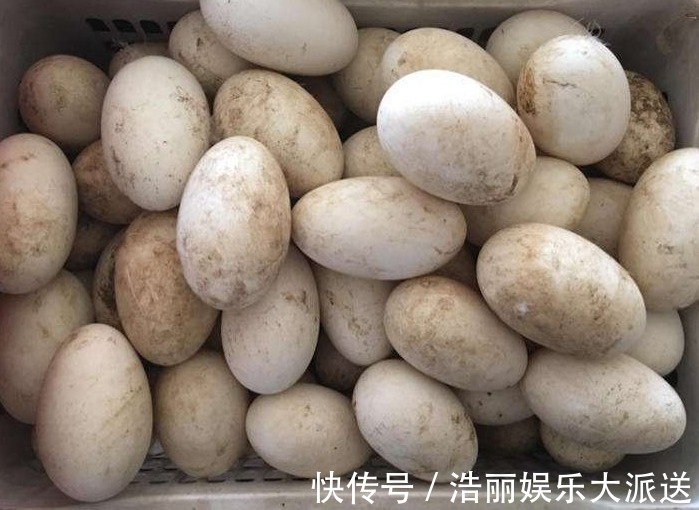 氨基酸|怀孕后,孕妇什么时候吃“鹅蛋”效果最好有个时间最好别不了解