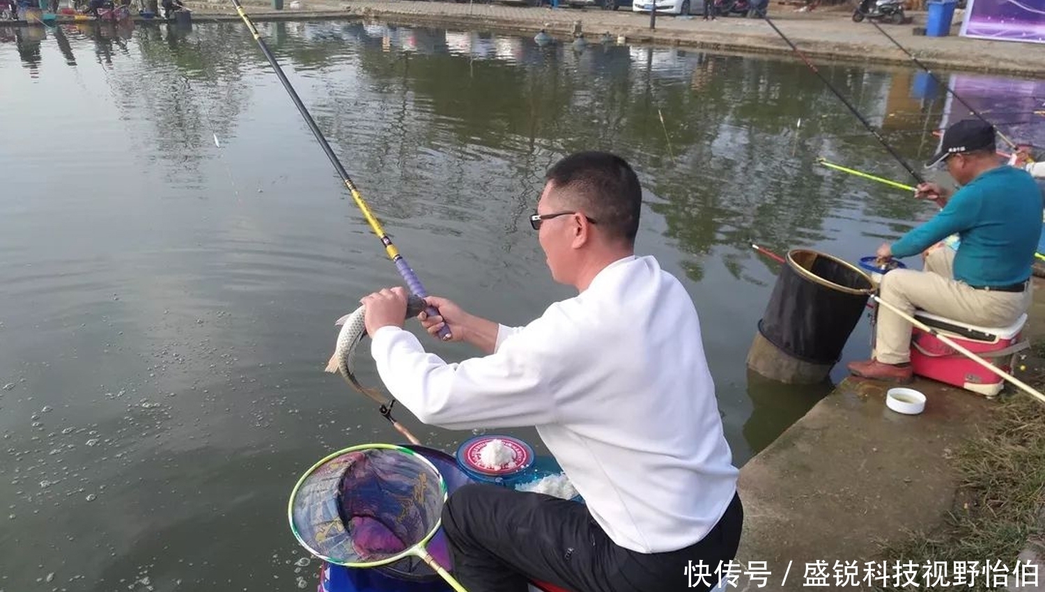 黑坑|当黑坑新鲤鱼和回锅鲤鱼混放时,饵料的味型搭配方法和垂钓技巧
