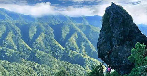 武陵|江西武陵岩山高林密，石怪洞幽、原始古朴，带你去看最美的风景