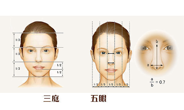 咬肌 方脸变瓜子脸——下颌角肥大截骨手术