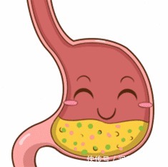 汪小欢|胃真的会越撑越大,越饿越小没想到真相竟是…