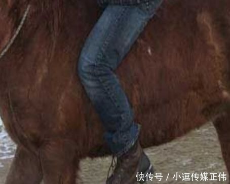 国博|三国时代有马镫吗?这个骑兵战斗力倍增器,到底什么时候发明的?