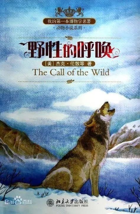 越来越来越|【知书达礼】运动时,别忘了这些事情丨好书推荐《野性的呼唤》