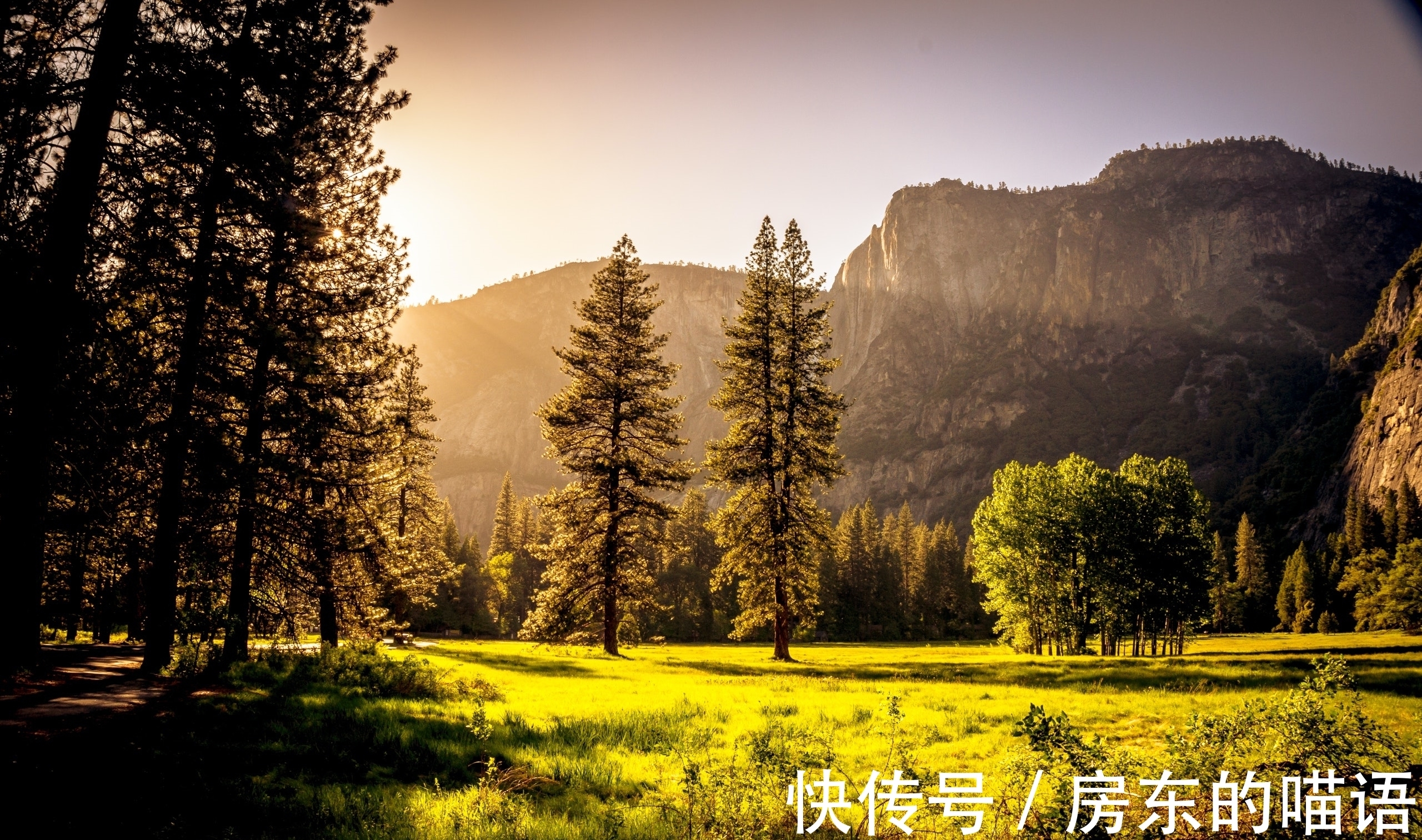 茅屋!王安石5首经典词作赏析:或平淡或豪纵,读来回味悠长