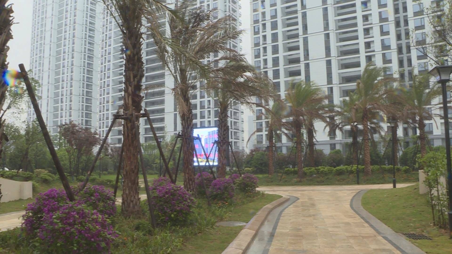 苍南县城建中心|苍南最大安置小区竣工验收 祥和锦园2082套新房喜迎主人