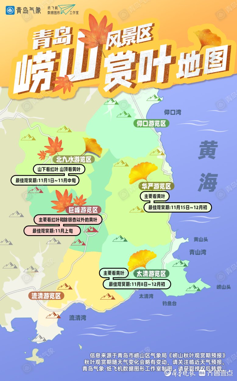 崂顶|崂山赏叶地图奉上！四大赏叶地、五大观赏树种可“打卡”