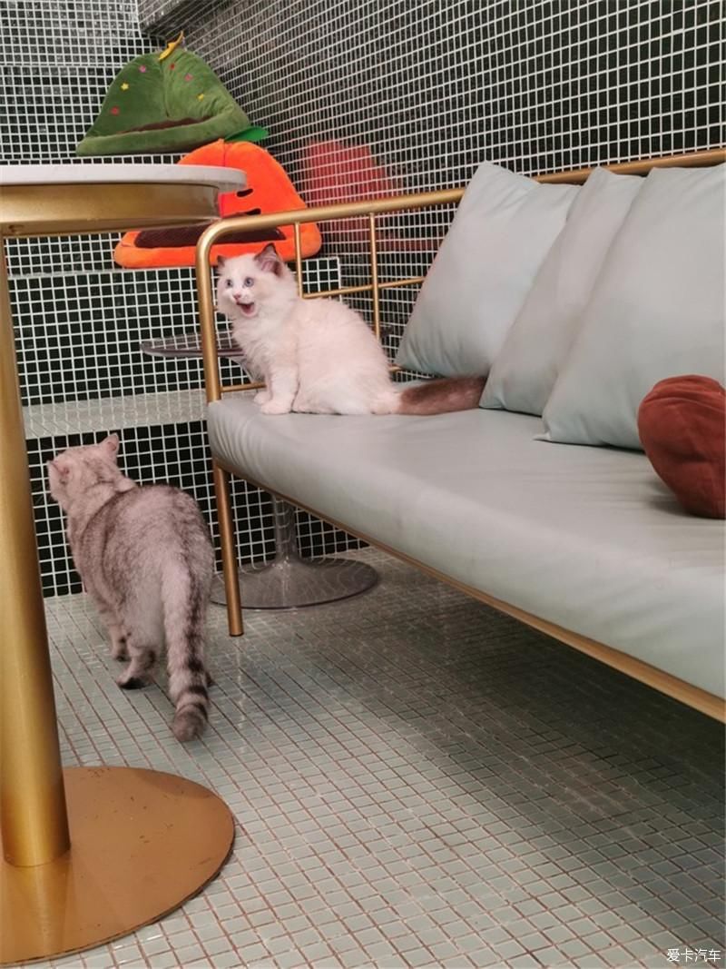 花海|厦门自由行