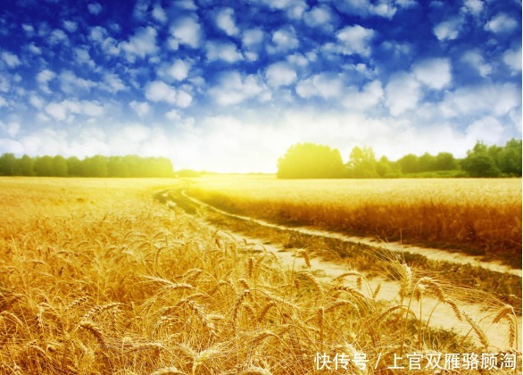 干支历|二十四节气由来