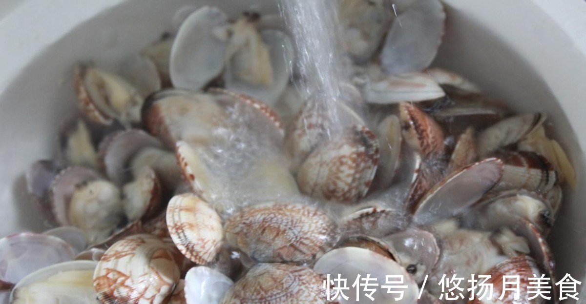 鲜美|花甲营养丰富,味道鲜美,酸辣味好吃到舔手指!