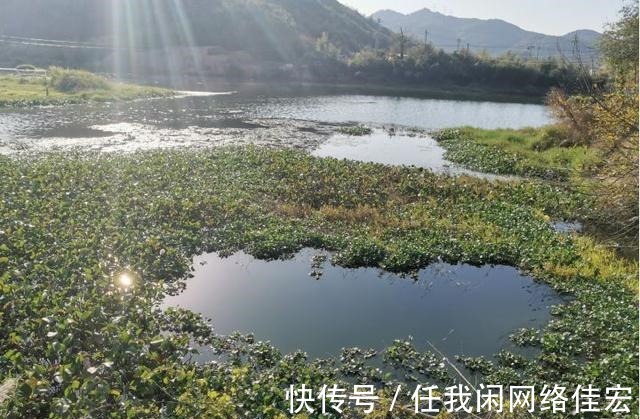 钓位|浅谈冬日野钓天气与钓位的关系，选对位置真能让鱼获翻倍！