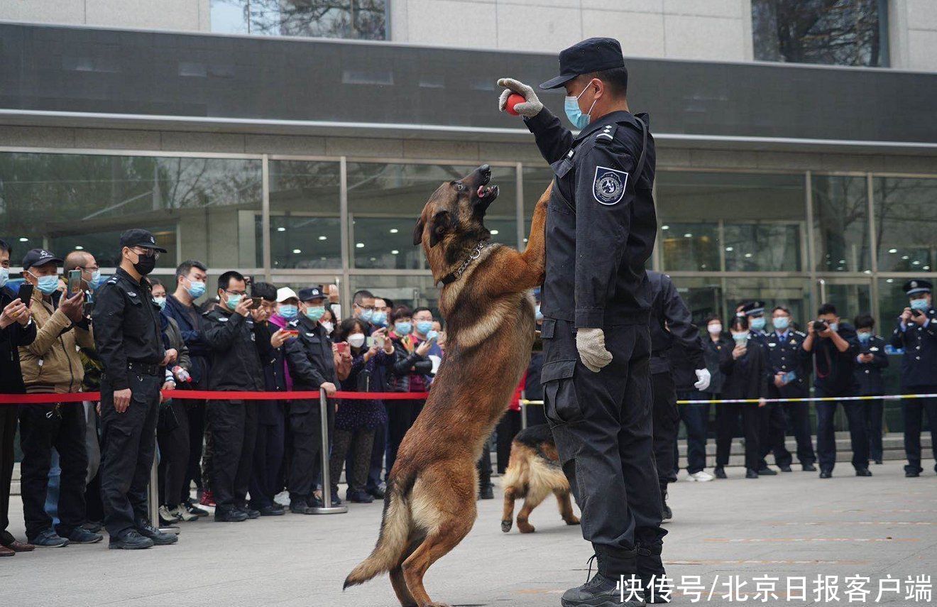 体验一回当警察的感觉 他们应邀走进公安机关 新闻 生活资讯网