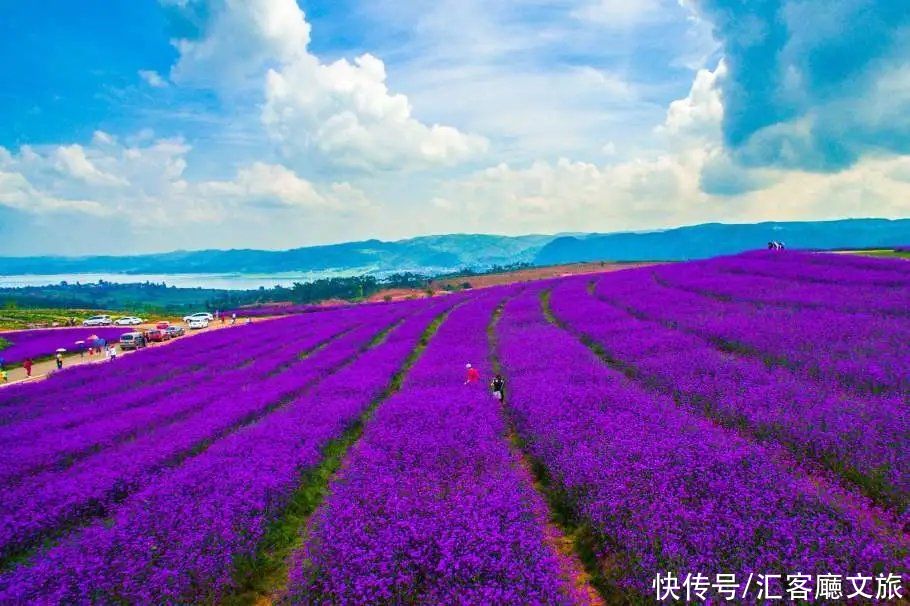 夏日新疆，究竟有哪些地方让人这么着迷？