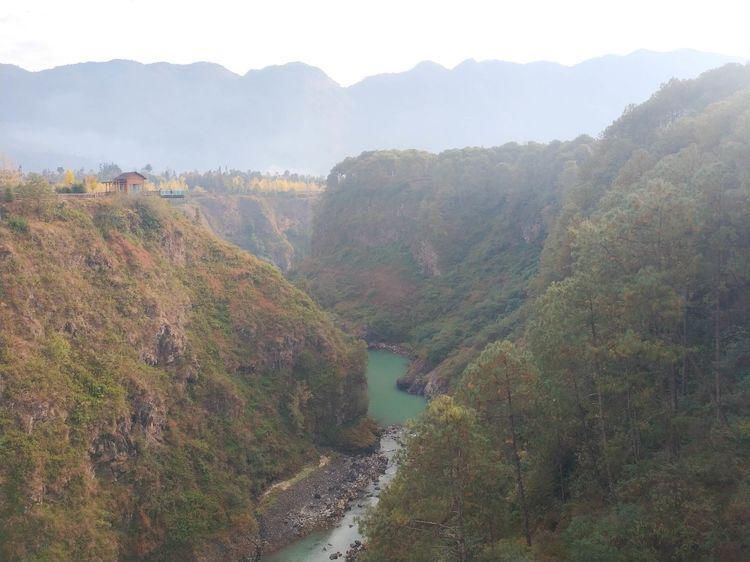 江东村|高黎贡山行之四：随走腾冲银杏村，惊艳，惬意