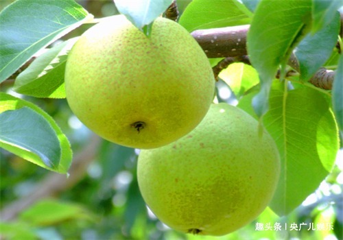 食物|女性不要太节俭，多吃4种食物，排毒护肝，保养肌肤，有益健康