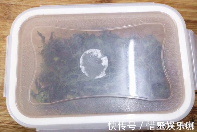烘干机|原来保存香菜这么简单，老农教您2个土方法，放久不坏，不怕多买