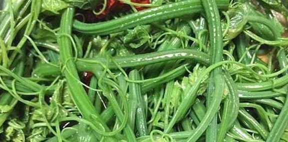 农村|农村以下野菜被称为山野菜之王，能降血压、清洁肠道、美容养颜
