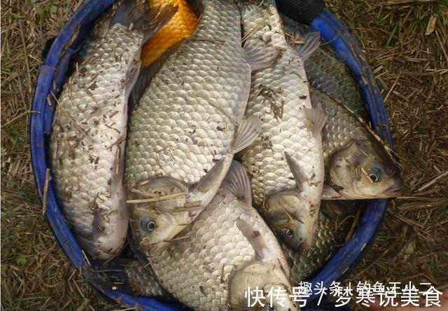 原来冬季鲫鱼还可这样钓，难怪别人总是上鱼不断，你却空军连连