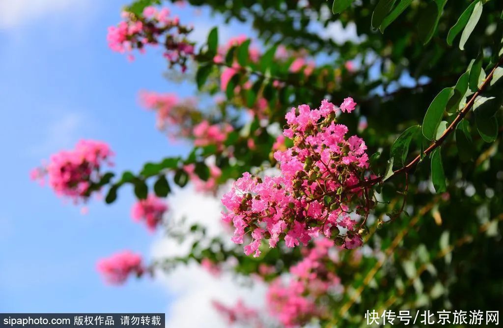 小北|野趣十足的免费公园，还有石榴！周末约起~