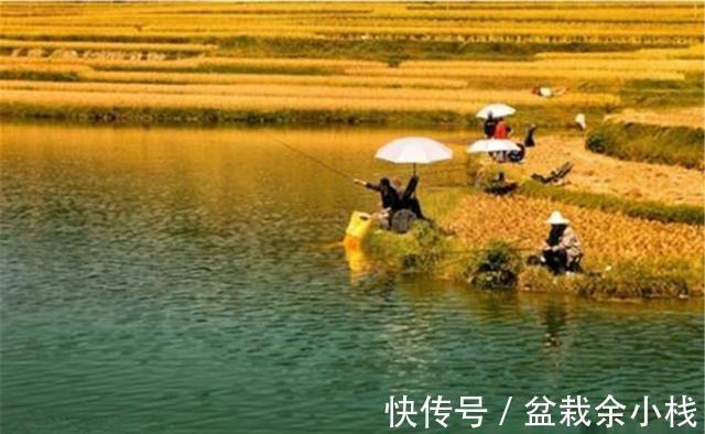 钓鱼|立秋到白露，秋季的初级阶段，钓鱼技巧跟夏季对比，有变化吗？