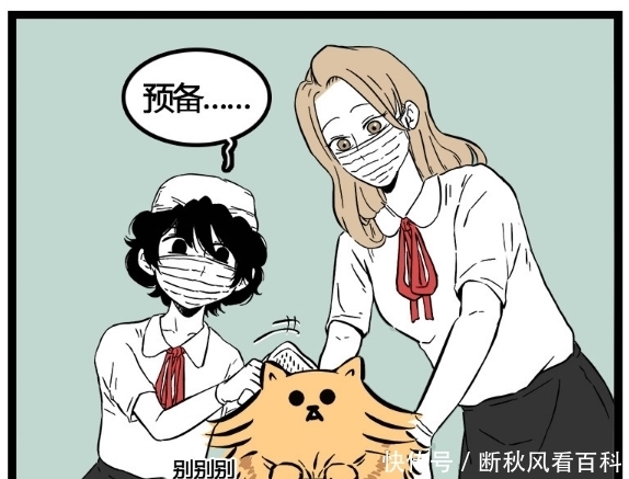 主人|搞笑漫画：梳完毛就像是变了一只猫，主人看到都不认识了！