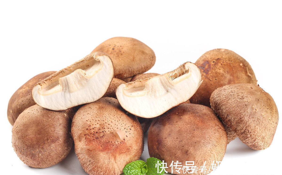 买香菇,挑大的还是小的?牢记“3买3不买”,谁也不敢忽悠你