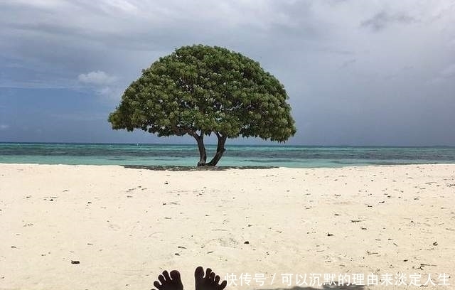 一瞥便是惊鸿,芳华乱了浮生。你知道是