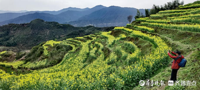 婺源篁岭的油菜花漫山遍野，美不胜收