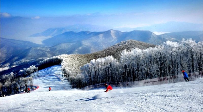 冬奥|吉林：冰雪旅游热 春节假期接待国内游客同比增长13．9％