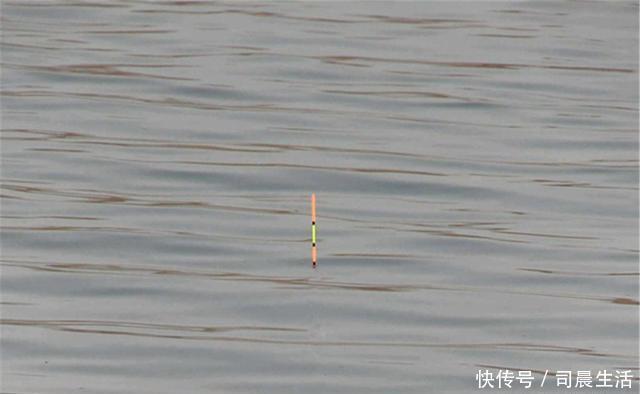 铅坠|钓鱼新政之后，允许一竿一钩一线的钓法，台钓使用单钩怎么调漂？