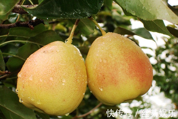 女性|女性不想早衰，不妨多吃3種食物，抵抗衰老，美白肌膚