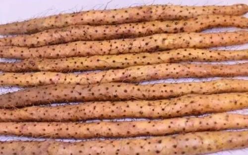 食物|有胃病的人,需要好好养胃,3种食物可常吃,不了解的不妨了解下