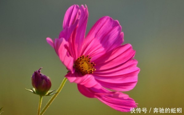 俗话说:吉人自有天相,有福之人有4大特点,难怪福气不请自来!