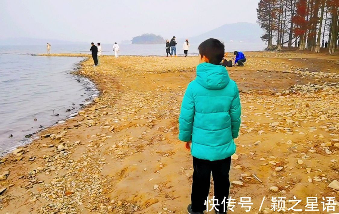 红杉林|网红地暂停开放，游历11次红杉林，见证四季之美