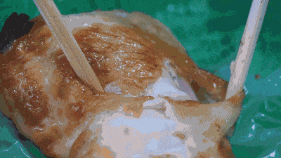 苍蝇|导航都找不到!北京这些苍蝇小馆,藏得好深!