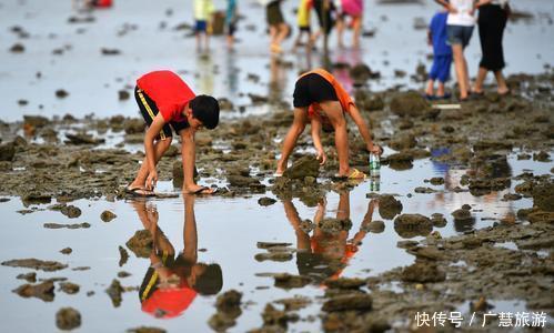 充足|日照赶海需要知道的，潮汐表赶海时间哪里可以赶海