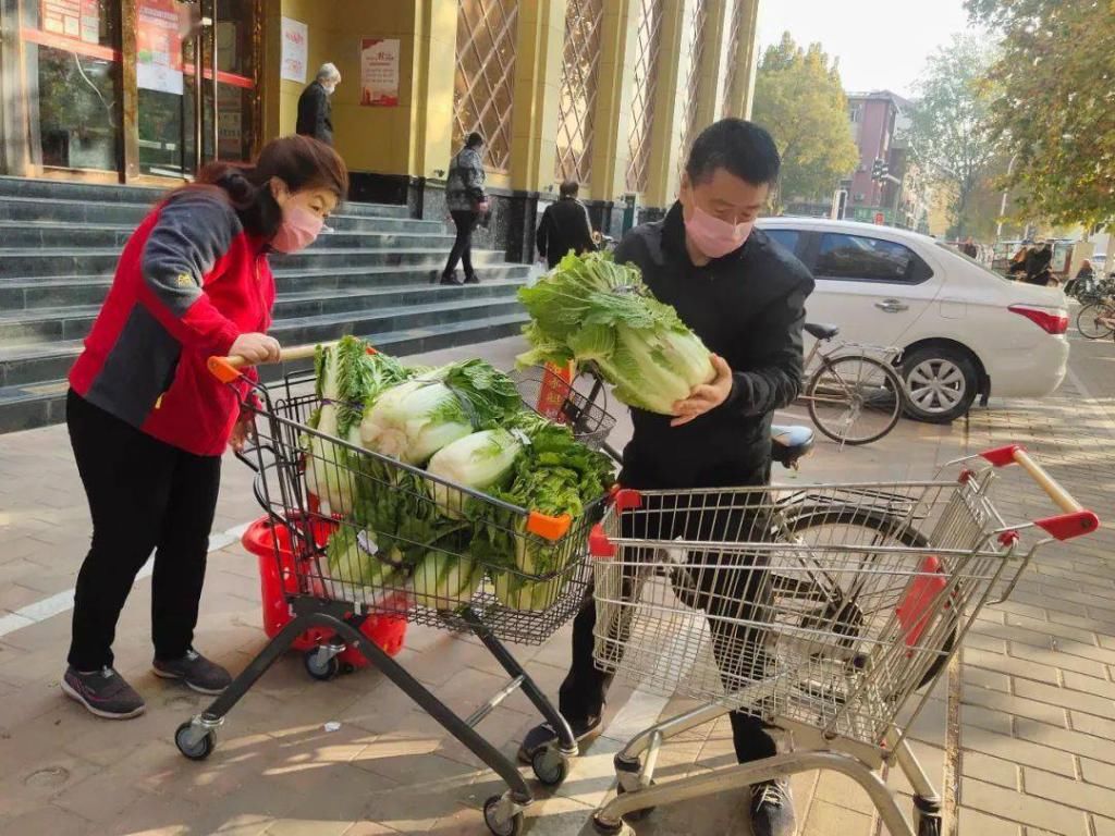 过冬|过冬还得大白菜，便宜好吃还下饭