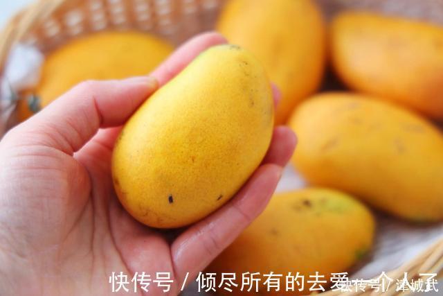 大台农|芒果大“比拼”,贵妃芒、金煌芒、台农芒到底哪个更好吃?