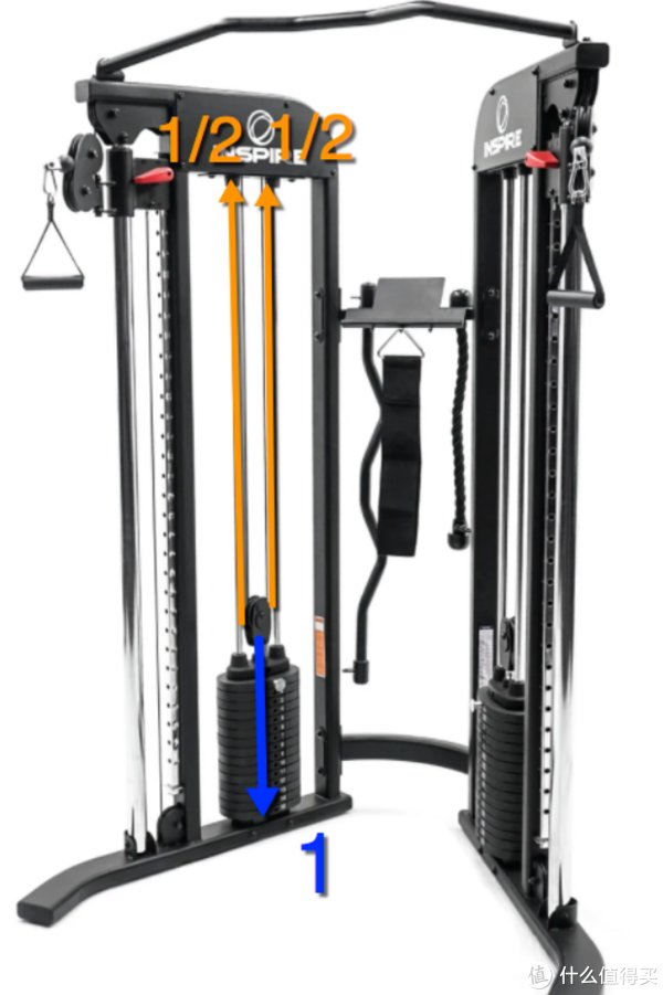 飞鸟|秋季健身滑轮系统飞鸟高低拉浅谈篇一