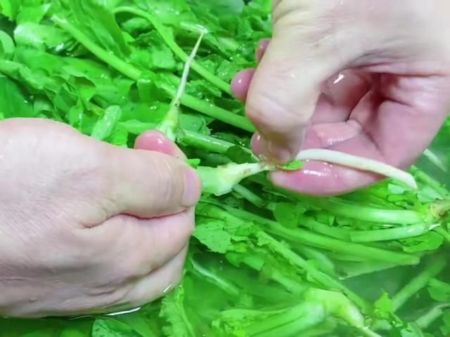 秋冬交替，最该吃此菜，鲜嫩营养又应季，错过了等明年