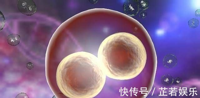 孩子|不管头胎还是二胎,在这3个时间点出生,或许是一位有福气的孩子