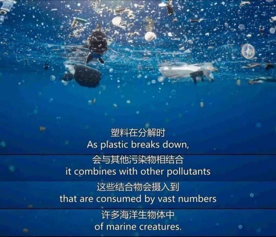 现实 霍金预言正在成为现实,珠峰顶部发现微塑料,微塑料或将侵入大脑