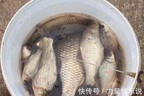 两竿|冬天不管在哪钓，碰到这3种天气，请假也得抛两竿，莫忽视哦