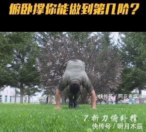 做俯卧撑|中国火箭军的俯卧撑挑战你能做到第几级