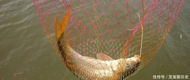 野钓二十年,调漂唯有这3个关键才够劲,钓友:漂相稳、准、狠