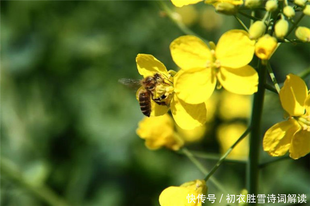  惊蛰节气春雷美诗6首：春雷一声发，惊燕亦惊蛇