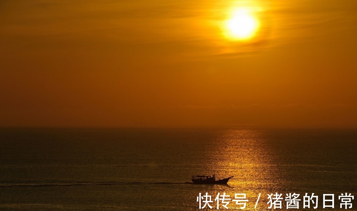 尾句|杜甫落魄时创作的一首七律,清代才子化用尾句,表达归隐之意