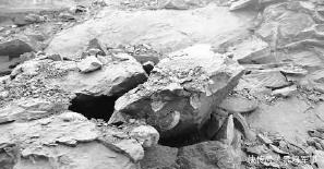 化石|馆藏恐龙蛋化石之多创吉尼斯世界纪录,现实版“侏罗纪公园”在这