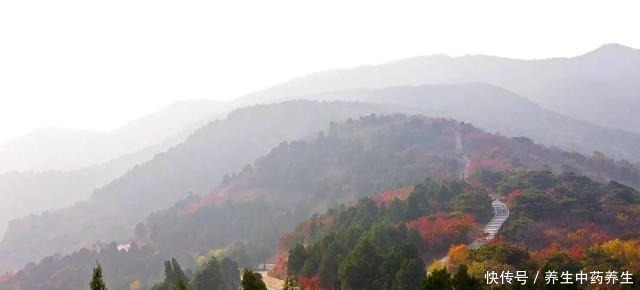 「方志」10号线上的巴沟站,你了解它的历史吗