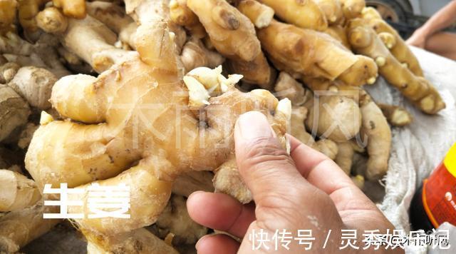 生姜的种植最新方法