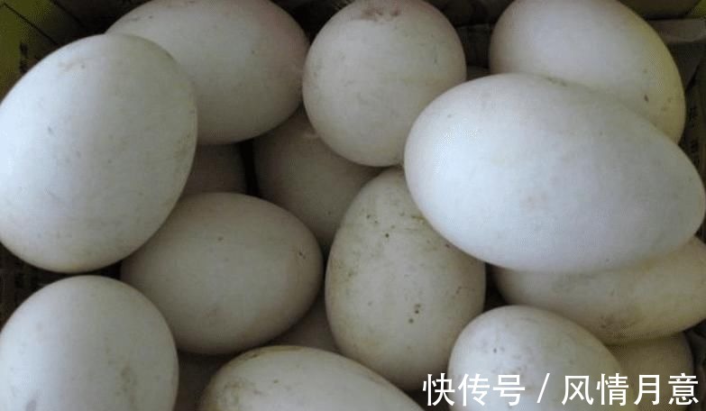 食物|怀孕时,孕妇可以常吃这4种食物,对胎儿发育好,还能缓解孕吐